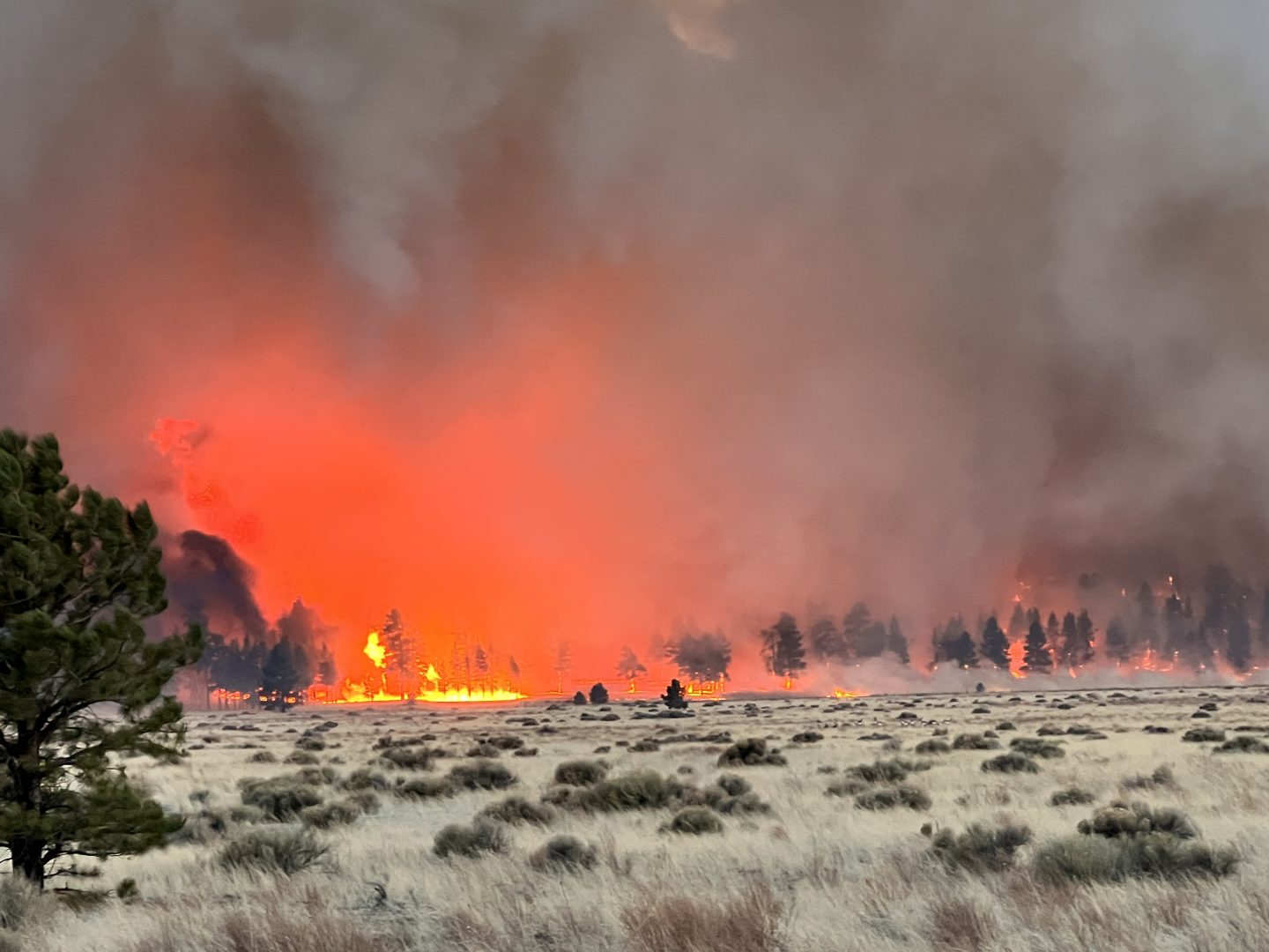 Wildfire Tunnel Fire at Sunset Crater Volcano National Monument